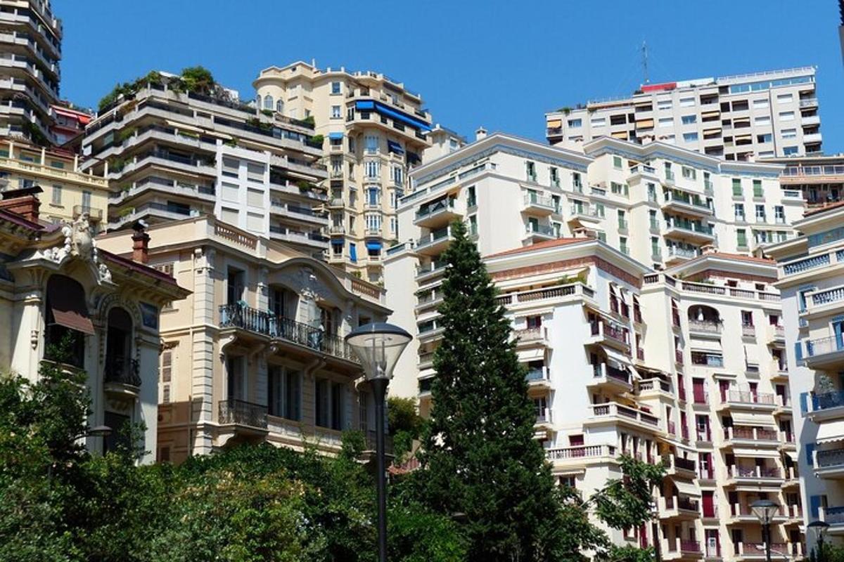 un edifici blanc alt amb un arbre al davant