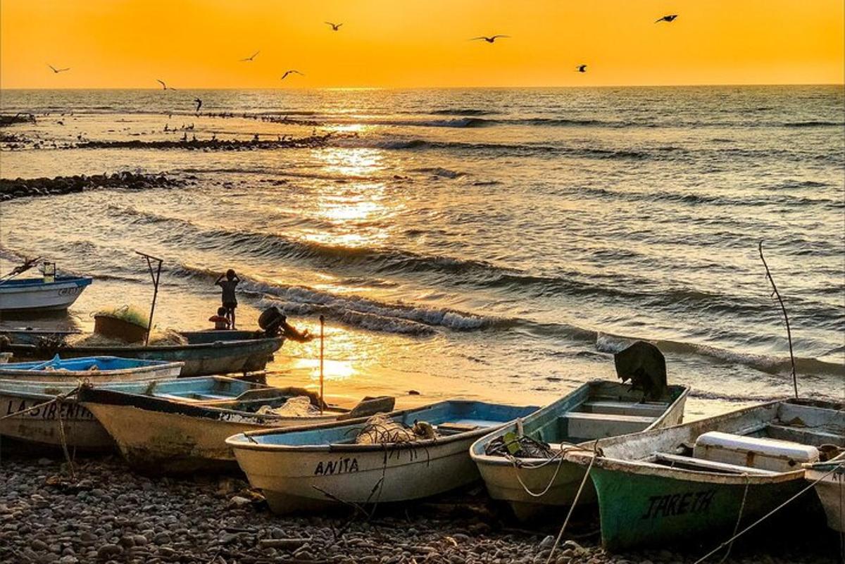 a group of boats on the beach at sunset