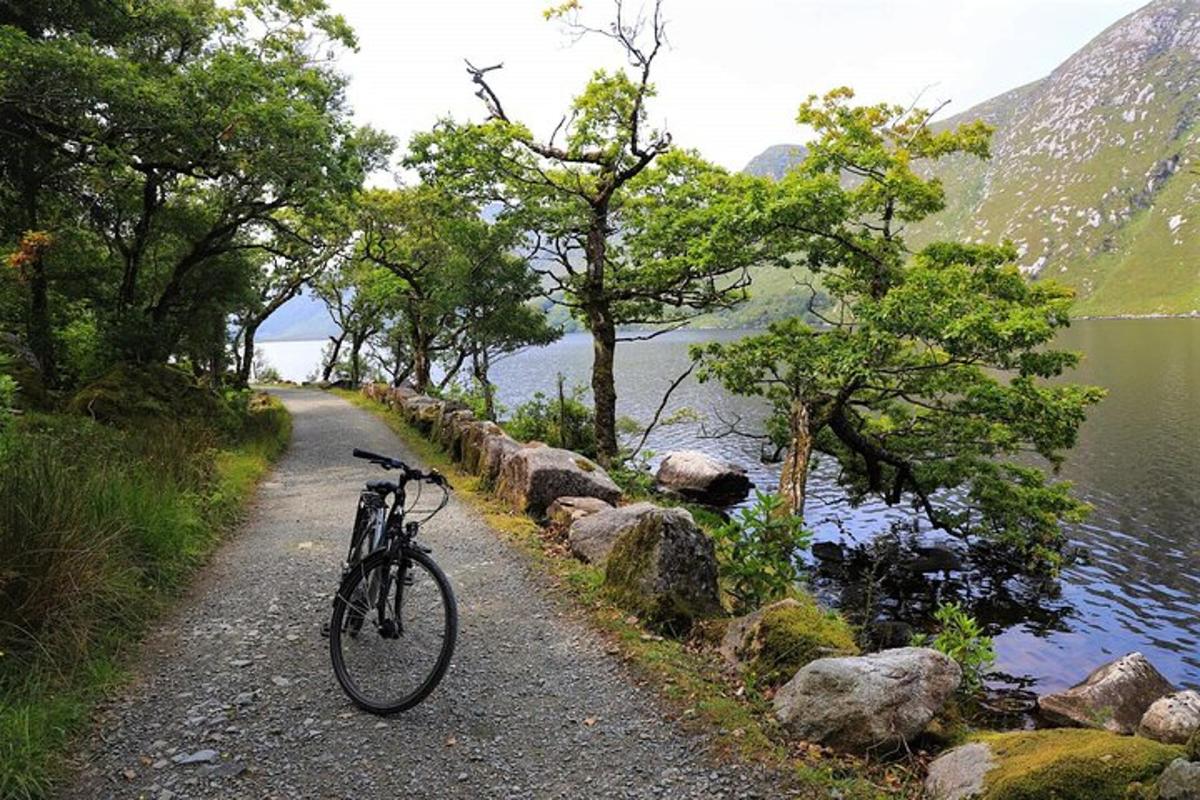 a bike parked on a path next to a lake