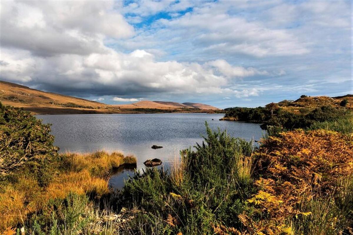 a lake with rocks in the middle of a field