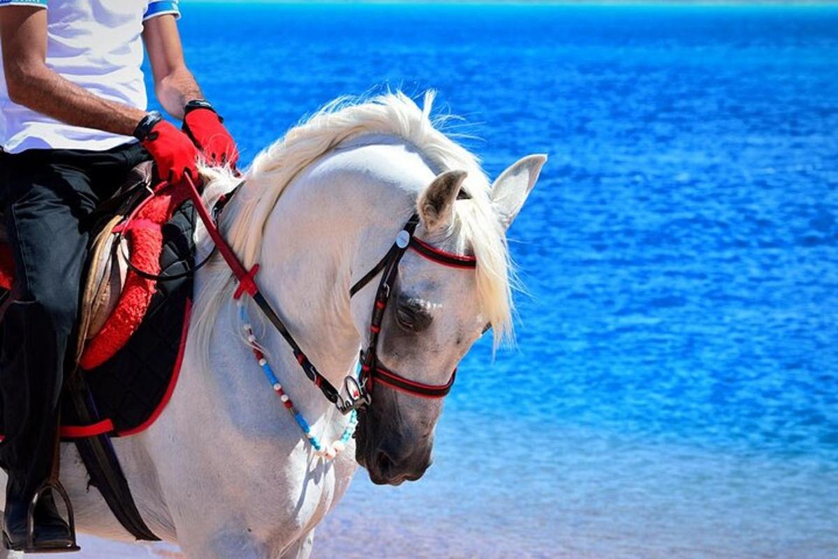 un uomo che cavalca un cavallo bianco sulla spiaggia