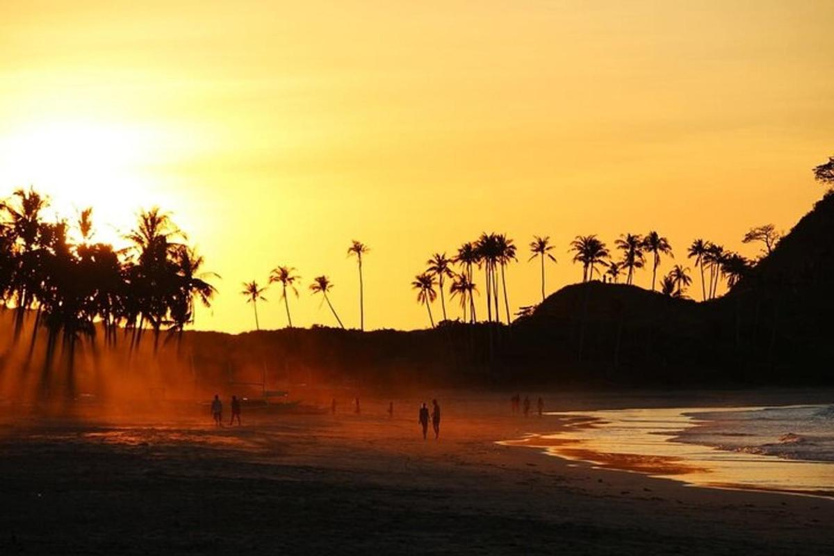 a group of people walking on the beach at sunset