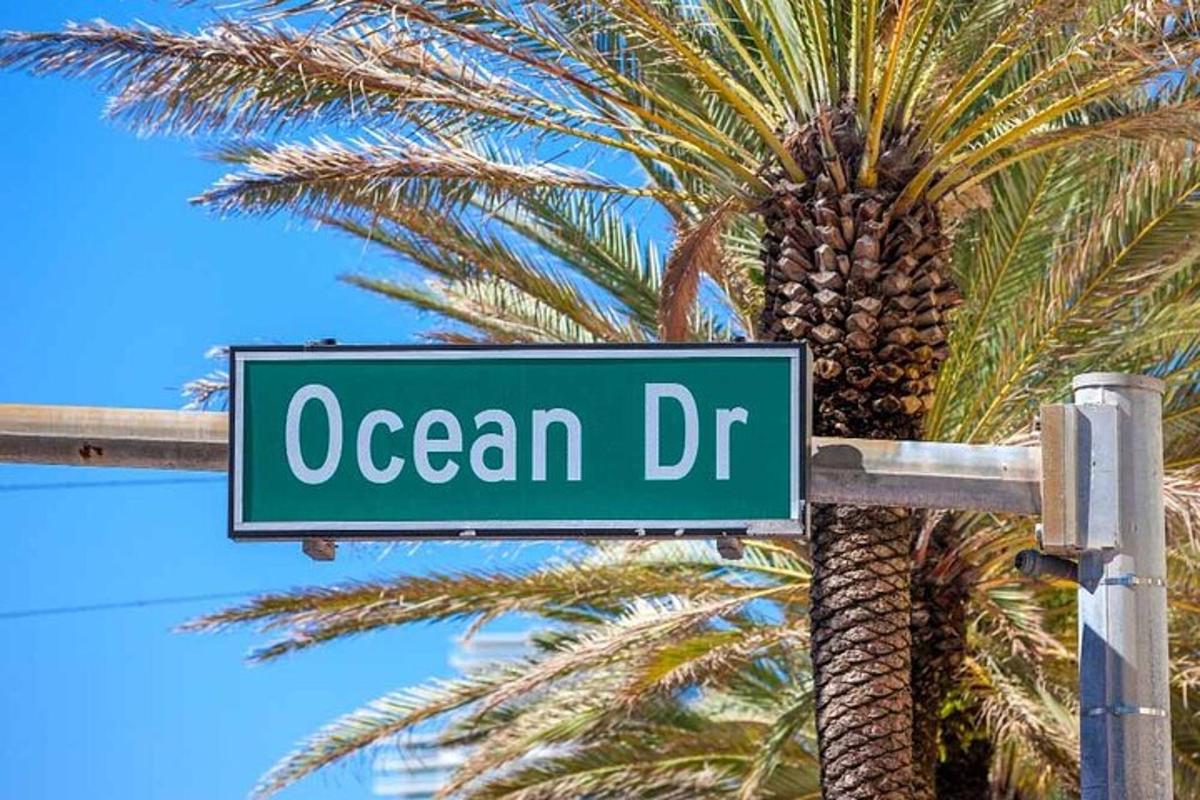 ป้ายถนนที่เขียนว่า Ocean Drive ข้างต้นปาล์ม