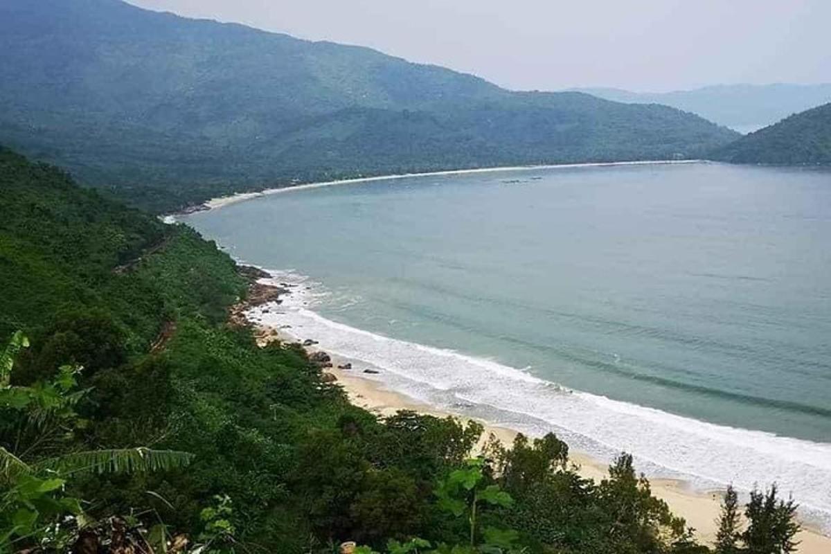 Una vista de una playa con árboles y el océano.