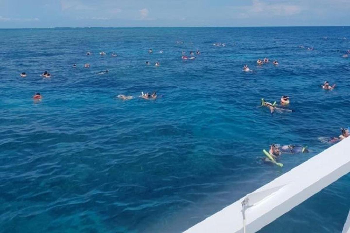 a group of people swimming in the ocean