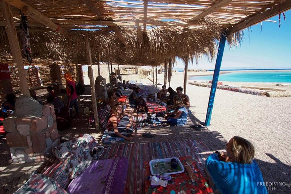 un gruppo di persone sedute sulla spiaggia