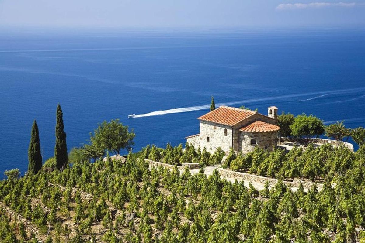 a house on top of a hill with the ocean