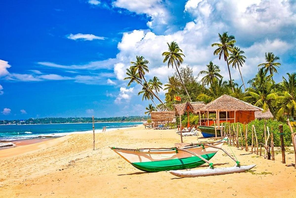 pantai dengan bot hijau di atas pasir