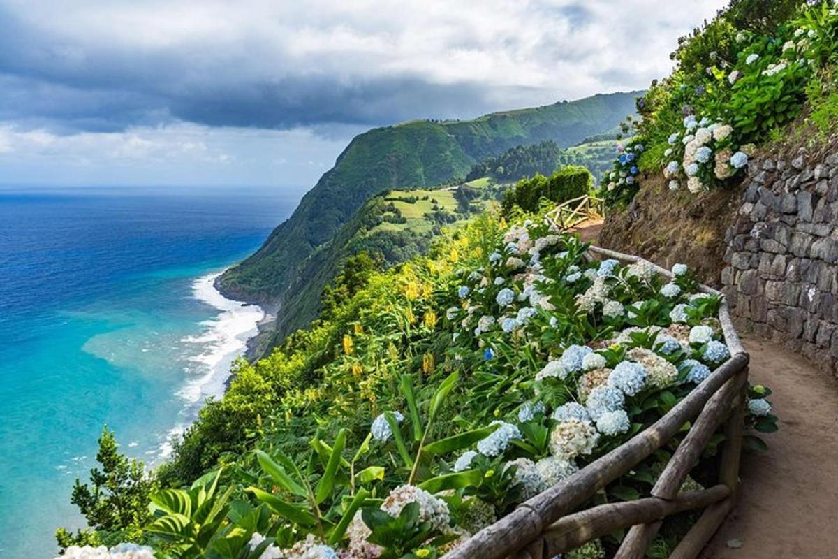 una vista dell'oceano con fiori su una scogliera