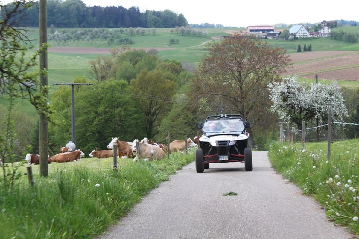 a four wheeler driving down a road with cows