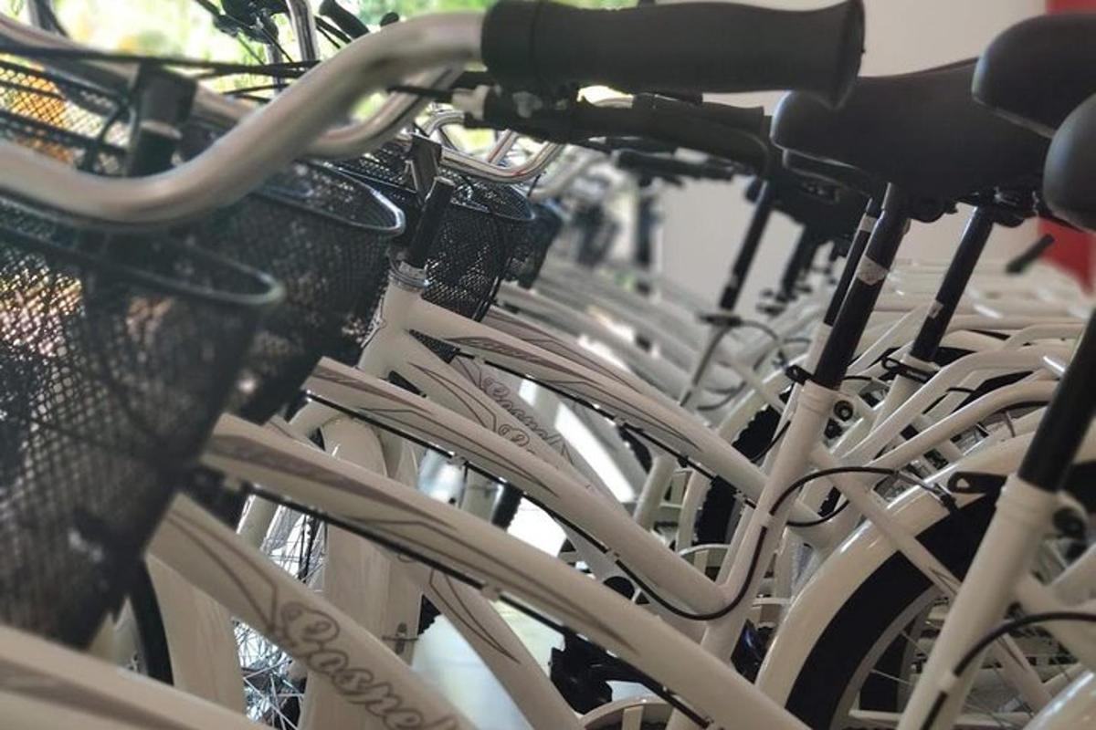 隣り合って駐車された自転車の列