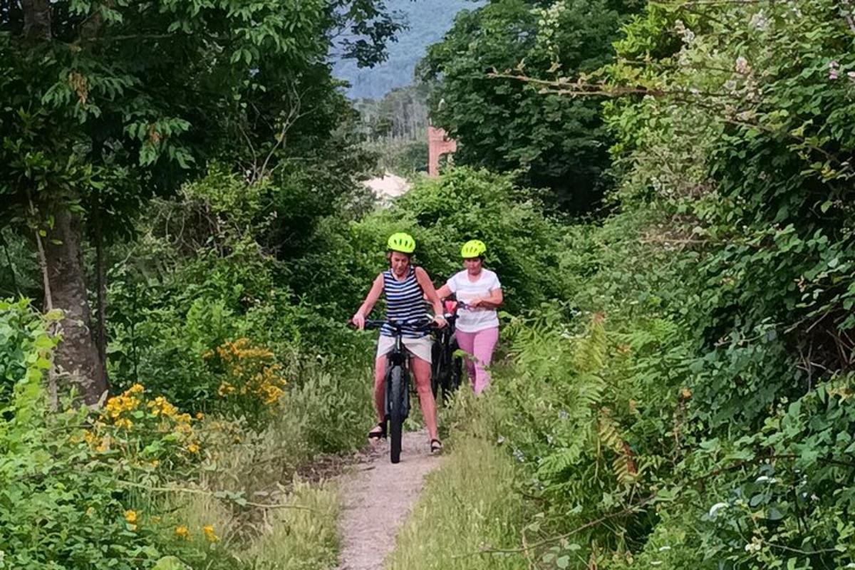 dwie osoby jadące na rowerach po leśnej ścieżce