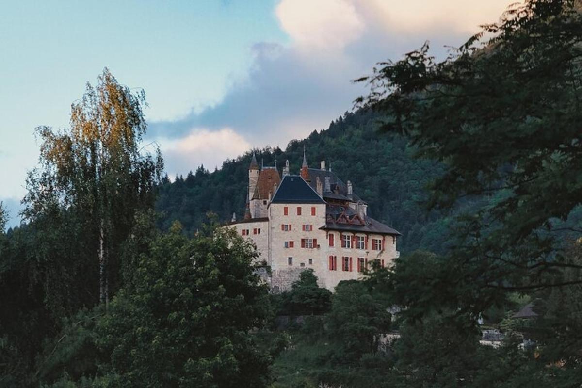 a castle on top of a hill with trees