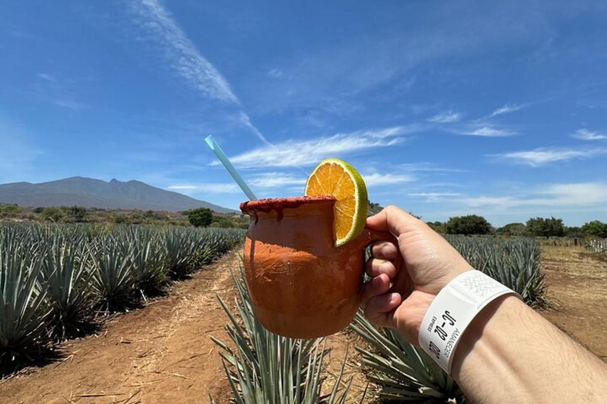 a person holding a drink with an orange slice