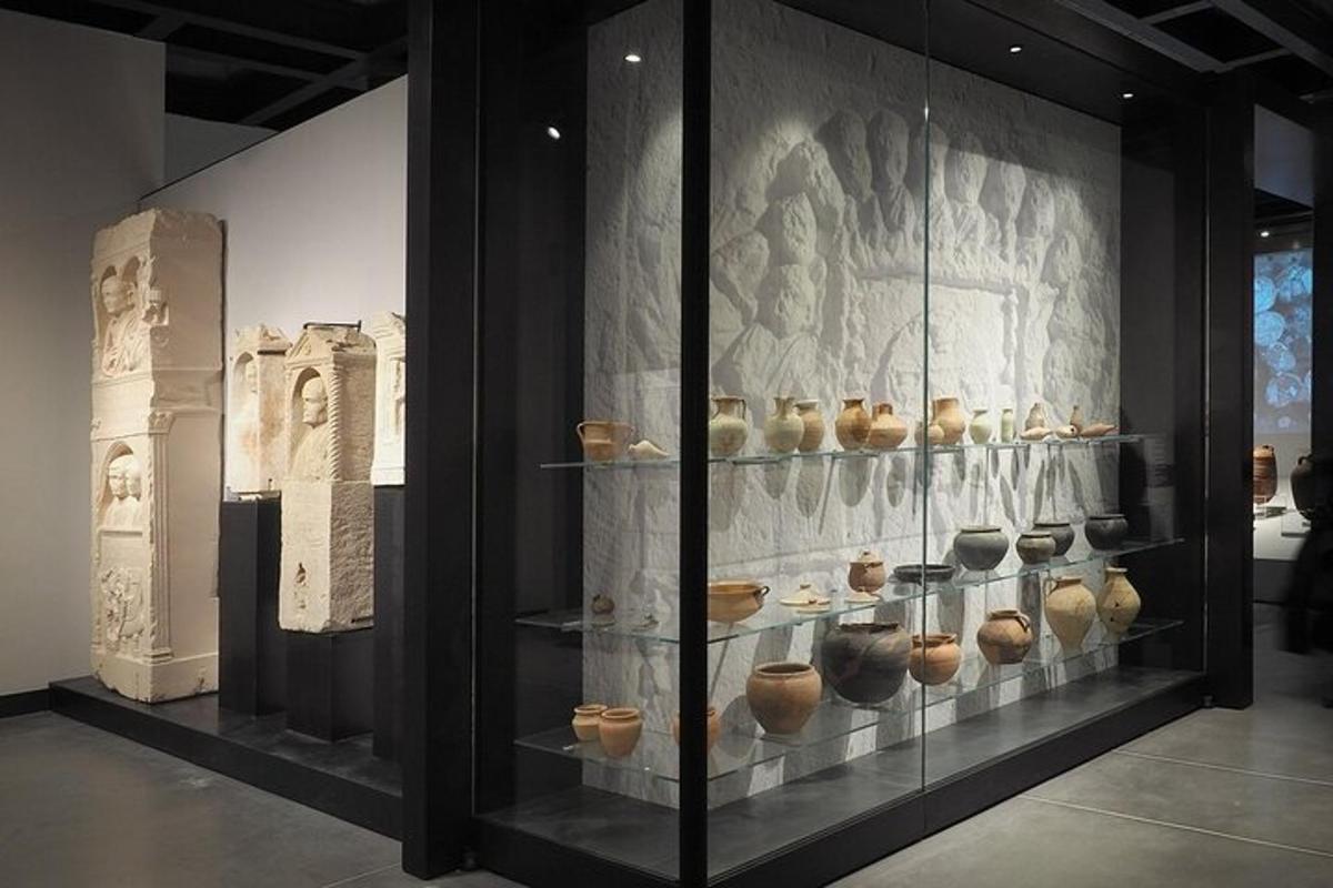 una vetrina in un museo con ceramiche in mostra