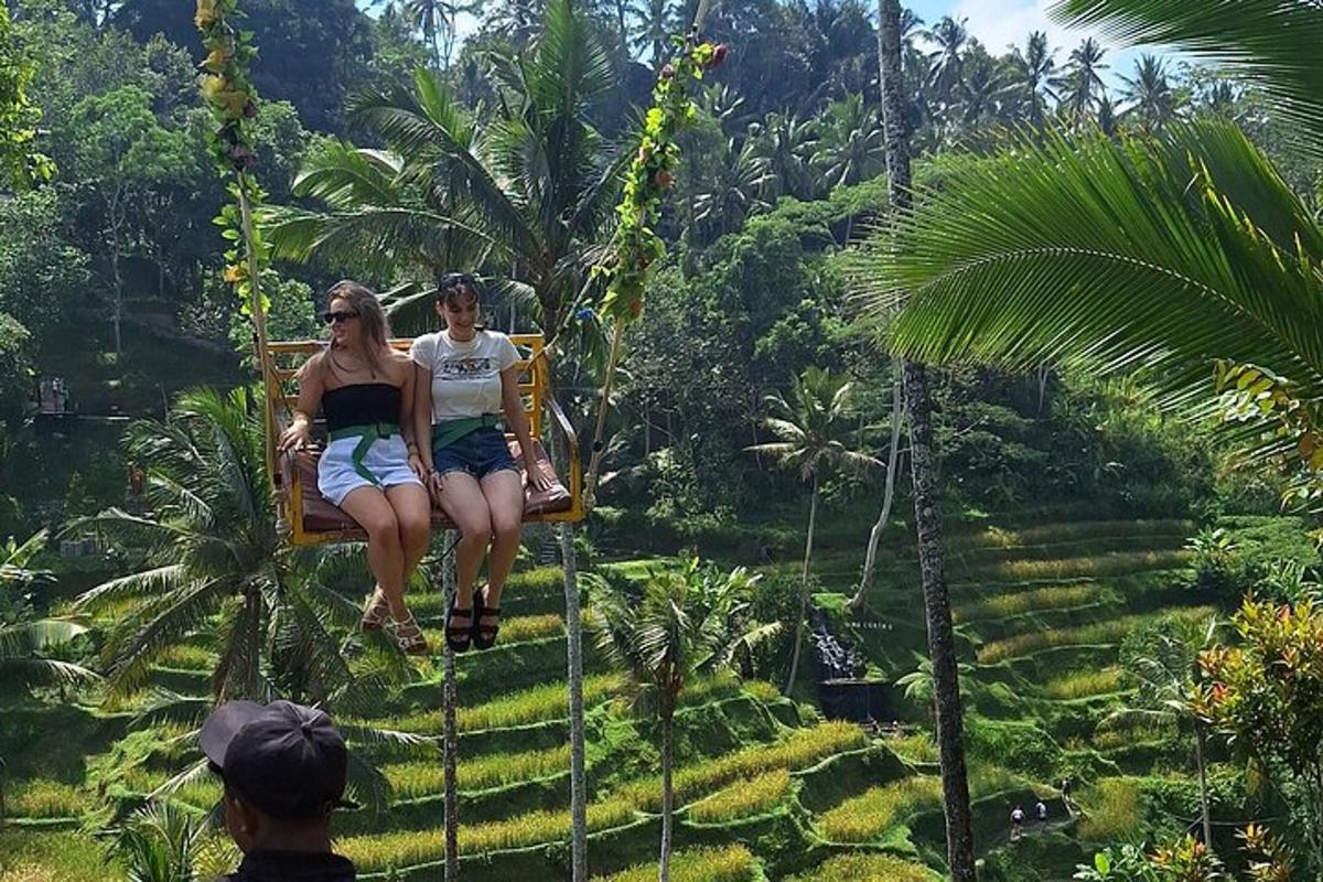two people sitting on a swing in the jungle