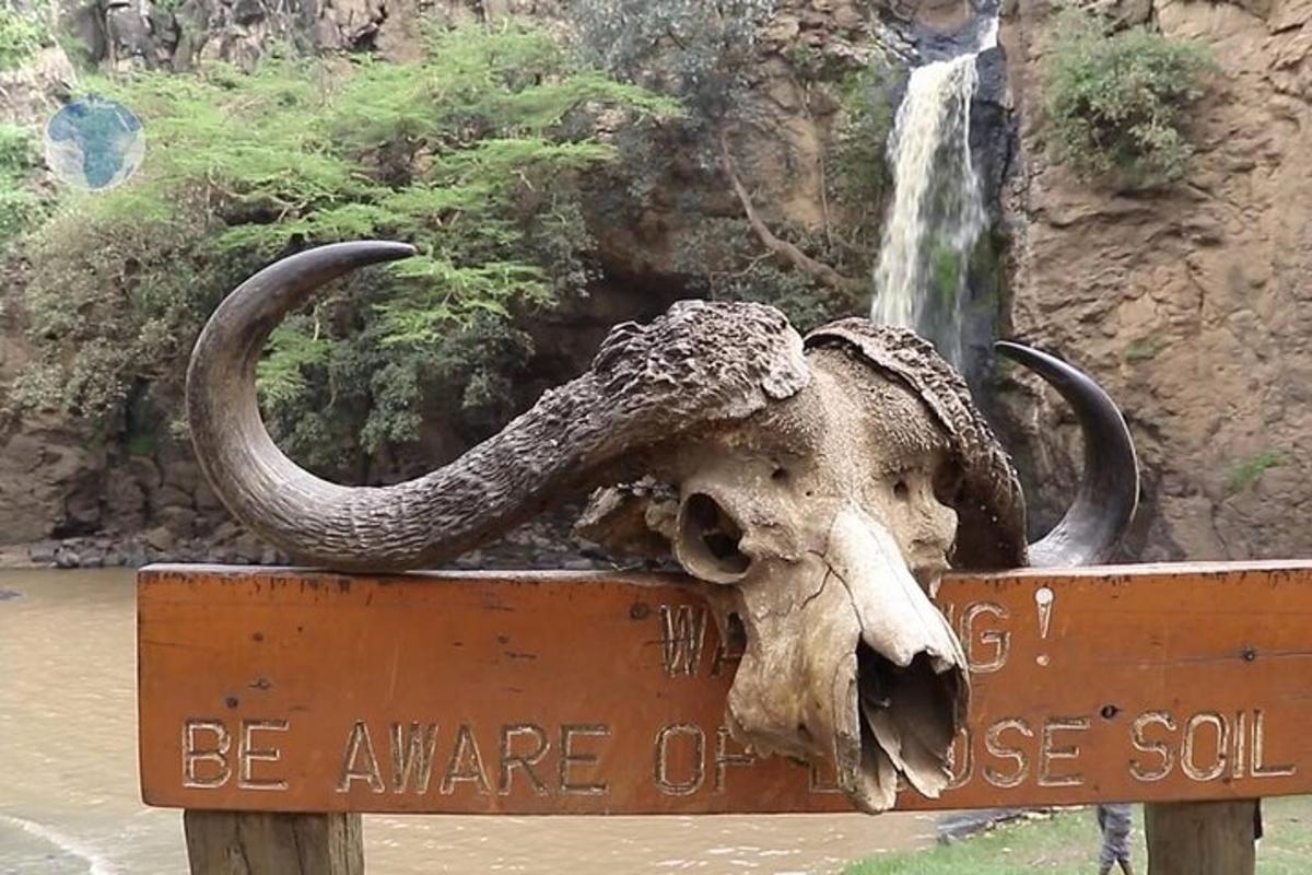 seekor gajah dengan belalainya di tanda di sebelah air terjun