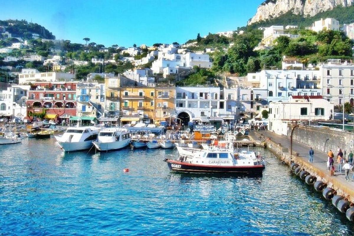 μια ομάδα σκαφών που δένουν σε ένα λιμάνι με κτίρια
