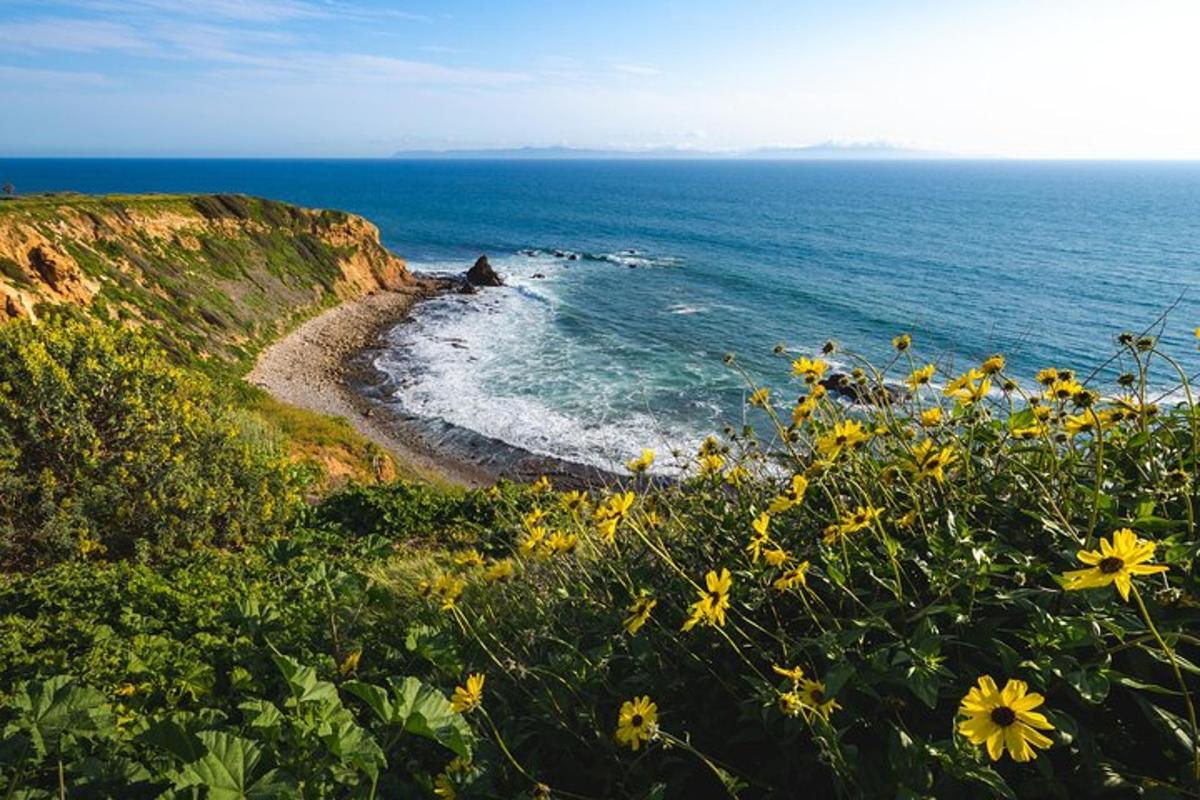 una vista dell'oceano da una collina con fiori gialli