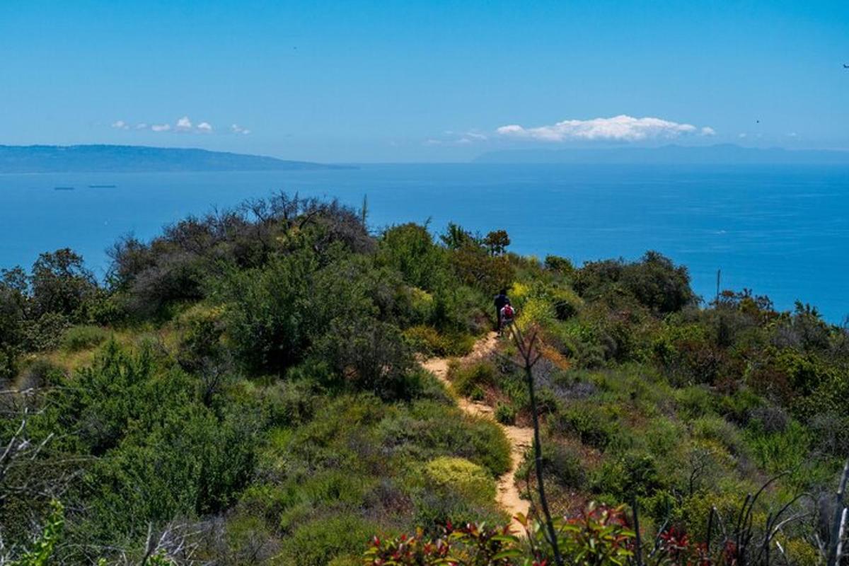 una persona in piedi su una collina che domina l'oceano
