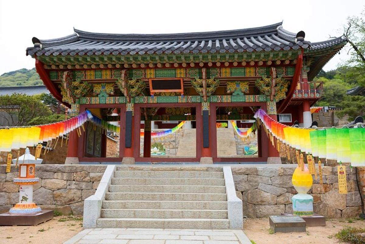 투어 액티비티 사진 5번