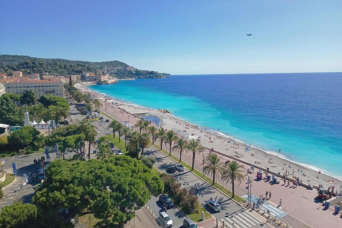 Una vista aérea de una playa con palmeras y el océano.