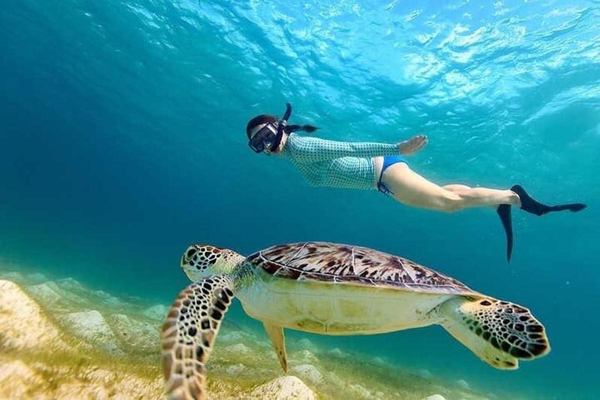 una persona che nuota accanto a una tartaruga nell'oceano