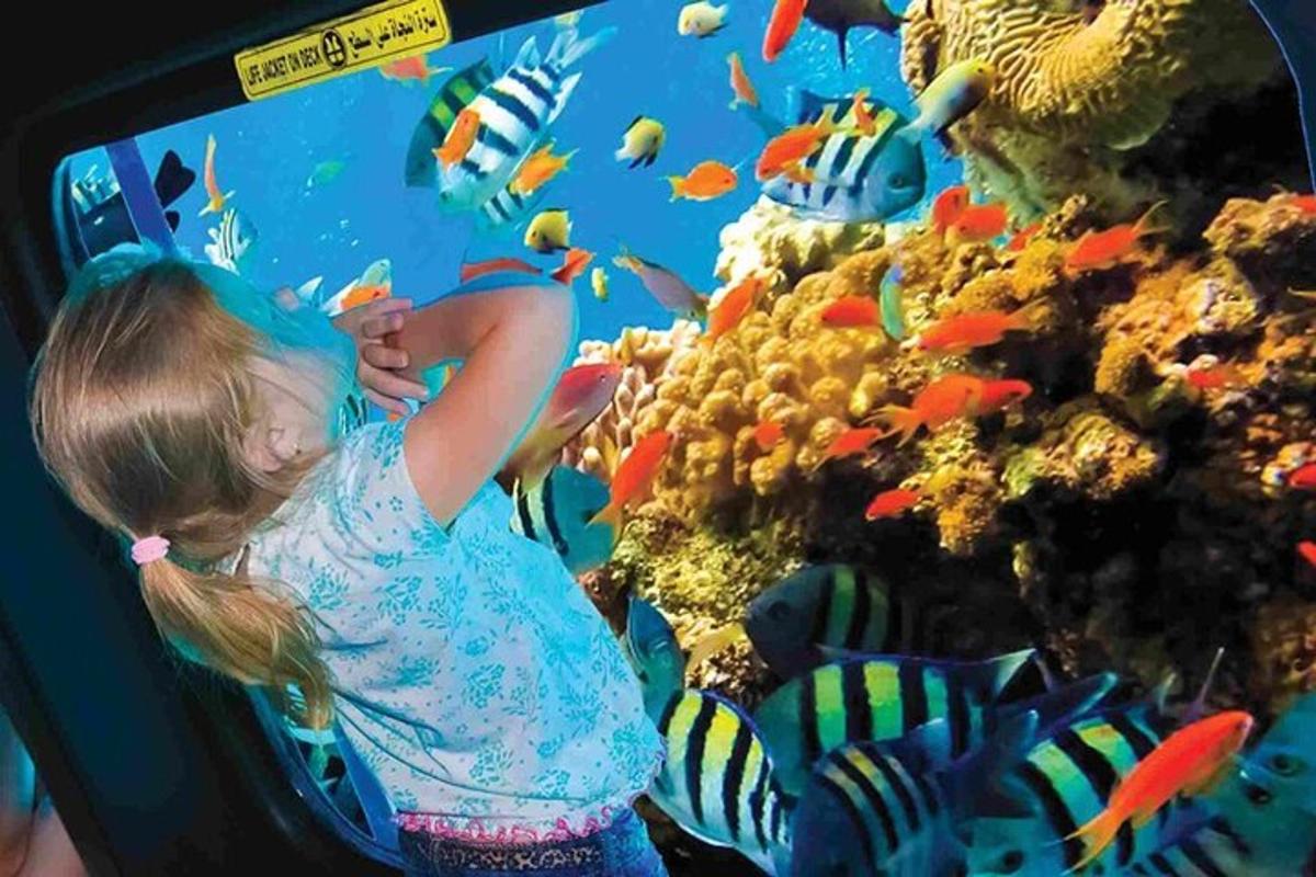 una bambina che guarda i pesci in un acquario