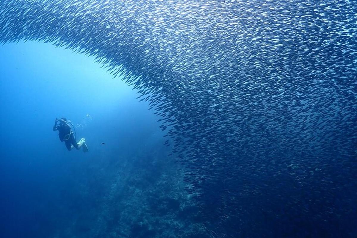 isang taong lumalangoy sa karagatan na may anyong tubig