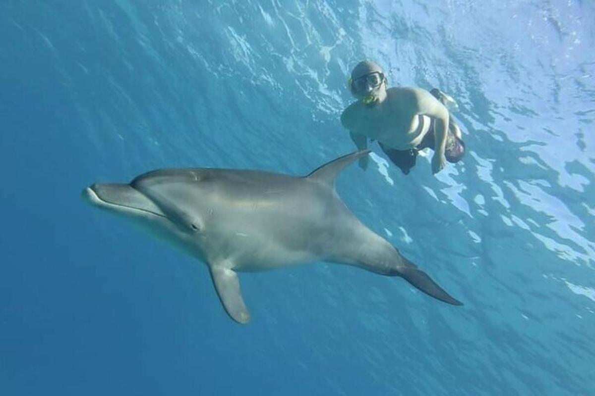 un uomo che nuota nell'acqua con un delfino