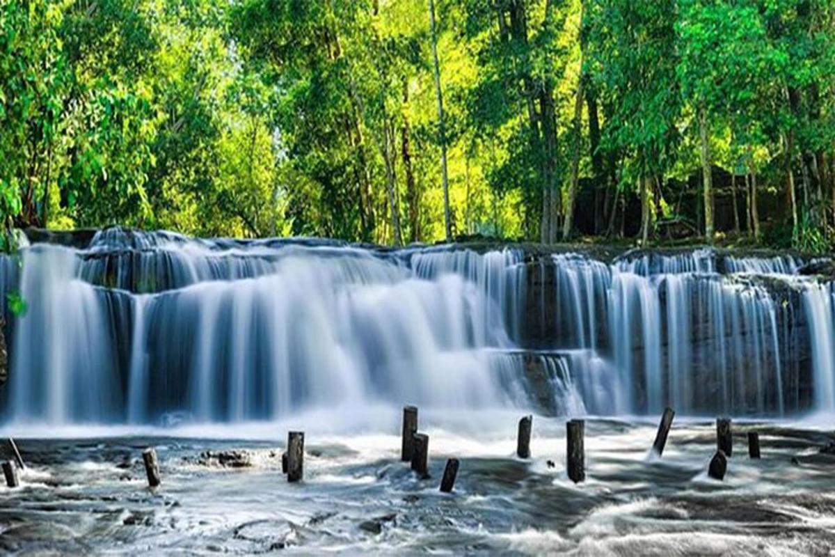 air terjun di tengah-tengah hutan