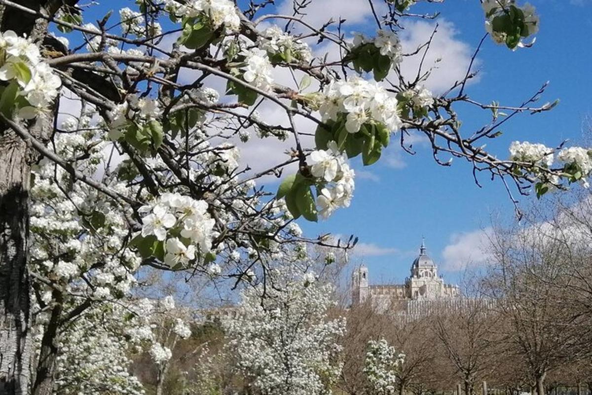 ett träd med vita blommor framför en byggnad