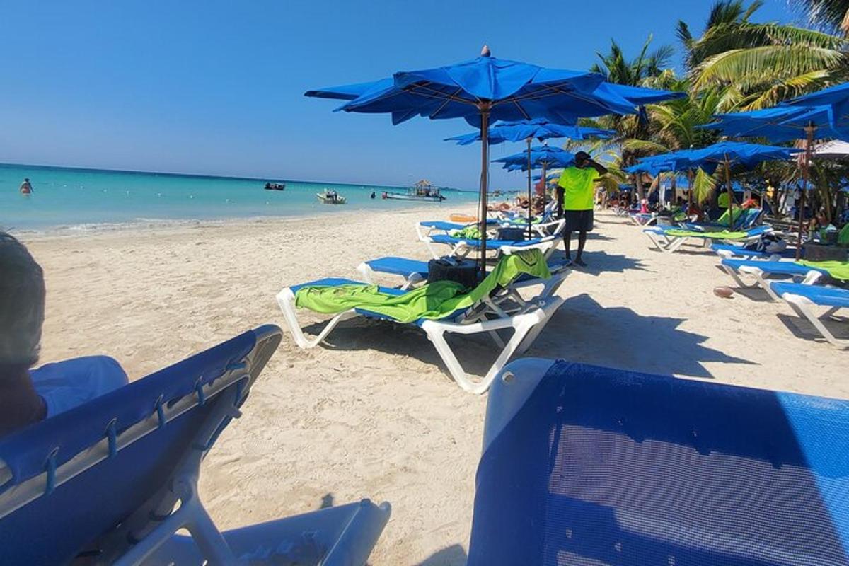 skupina stolov in senčnikov na plaži