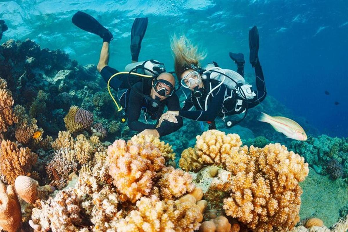 due persone nell'oceano che guardano una barriera corallina