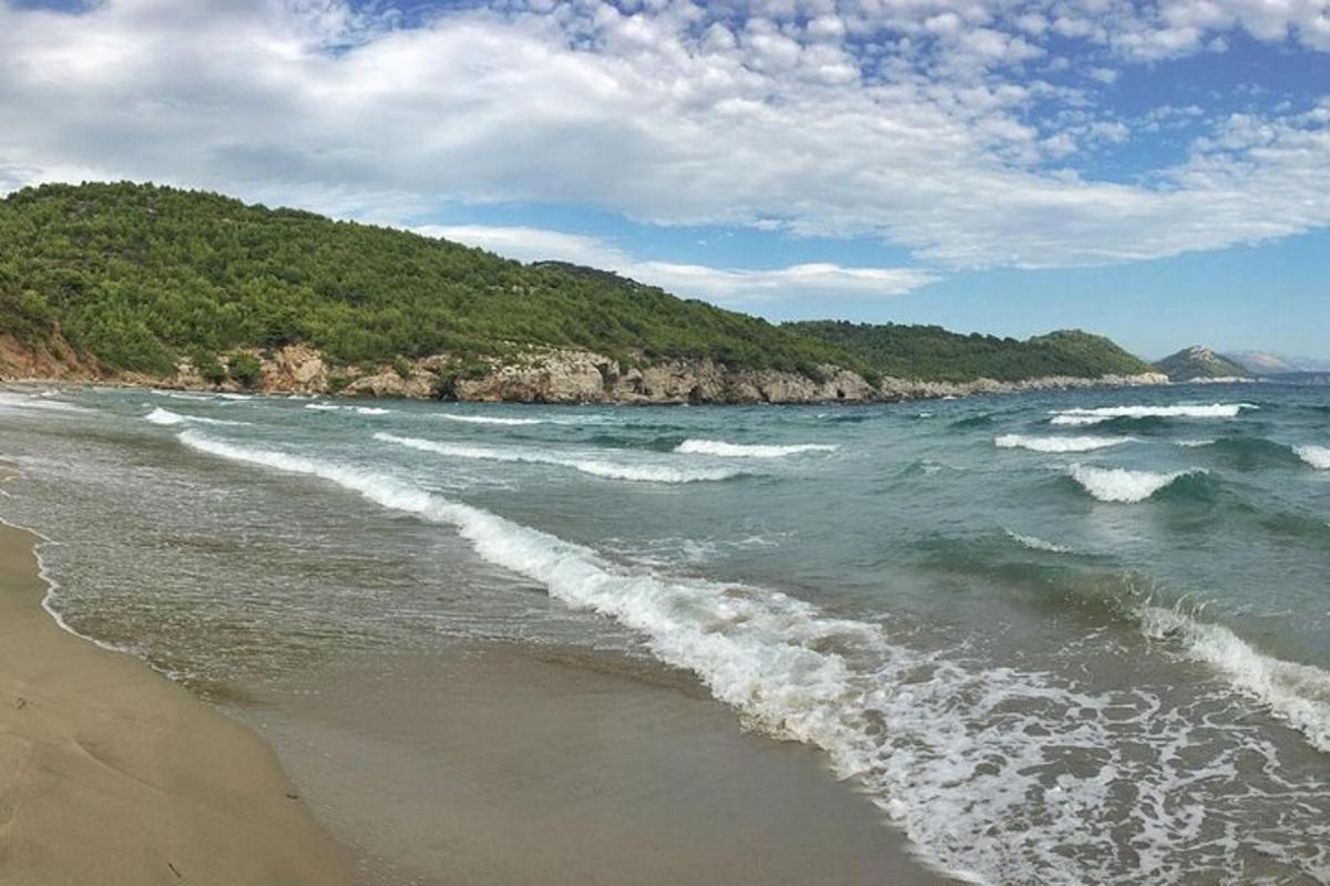 o vedere a oceanului cu o plajă cu valuri