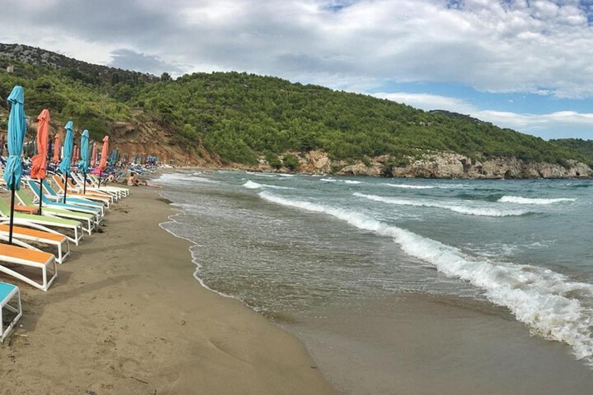 μια παραλία με ξαπλώστρες και ομπρέλες και τον ωκεανό
