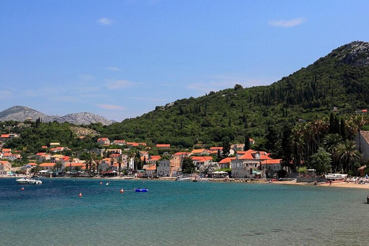μια θέα σε μια παραλία με μια πόλη και βουνά