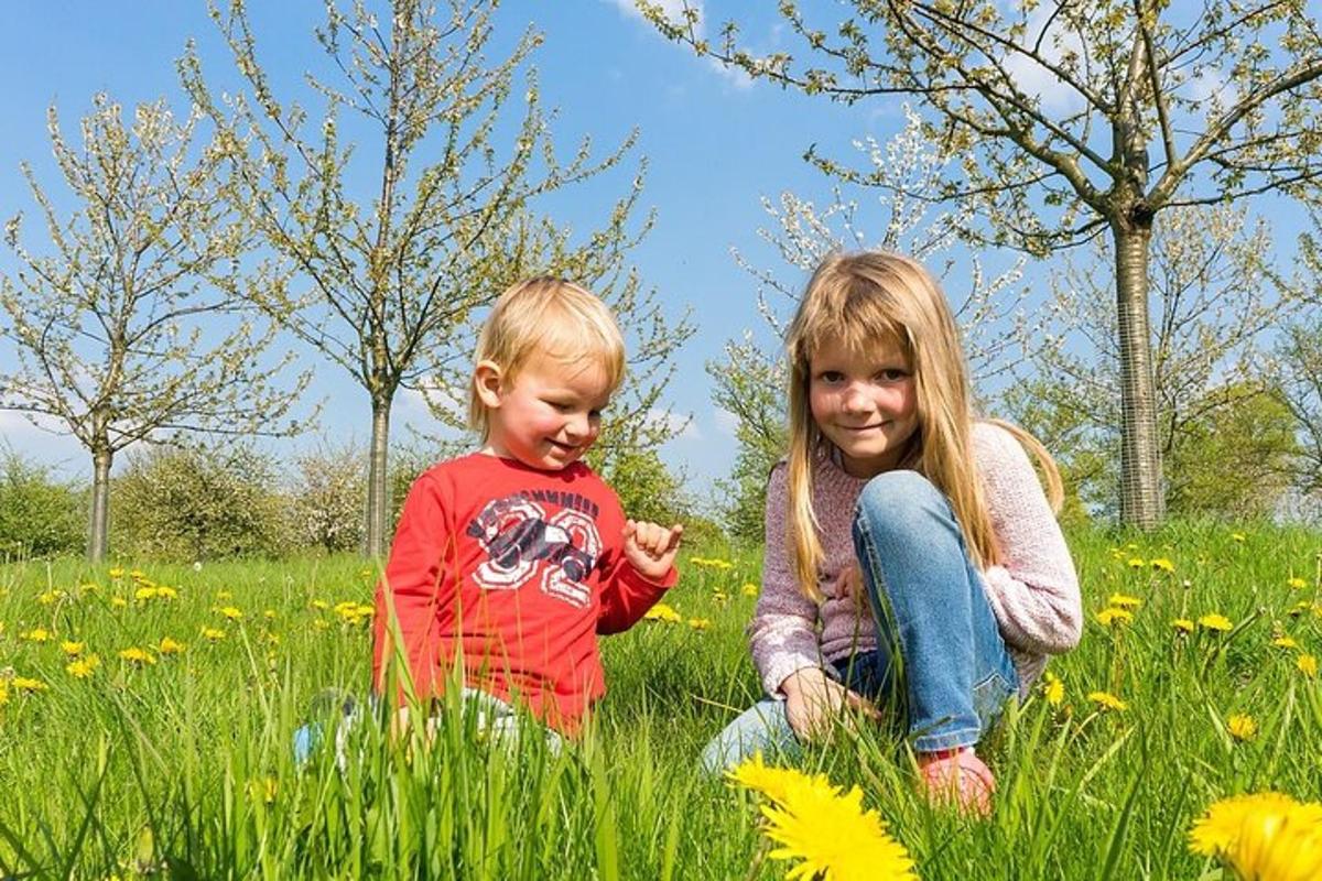 duas crianças sentadas em um campo de flores