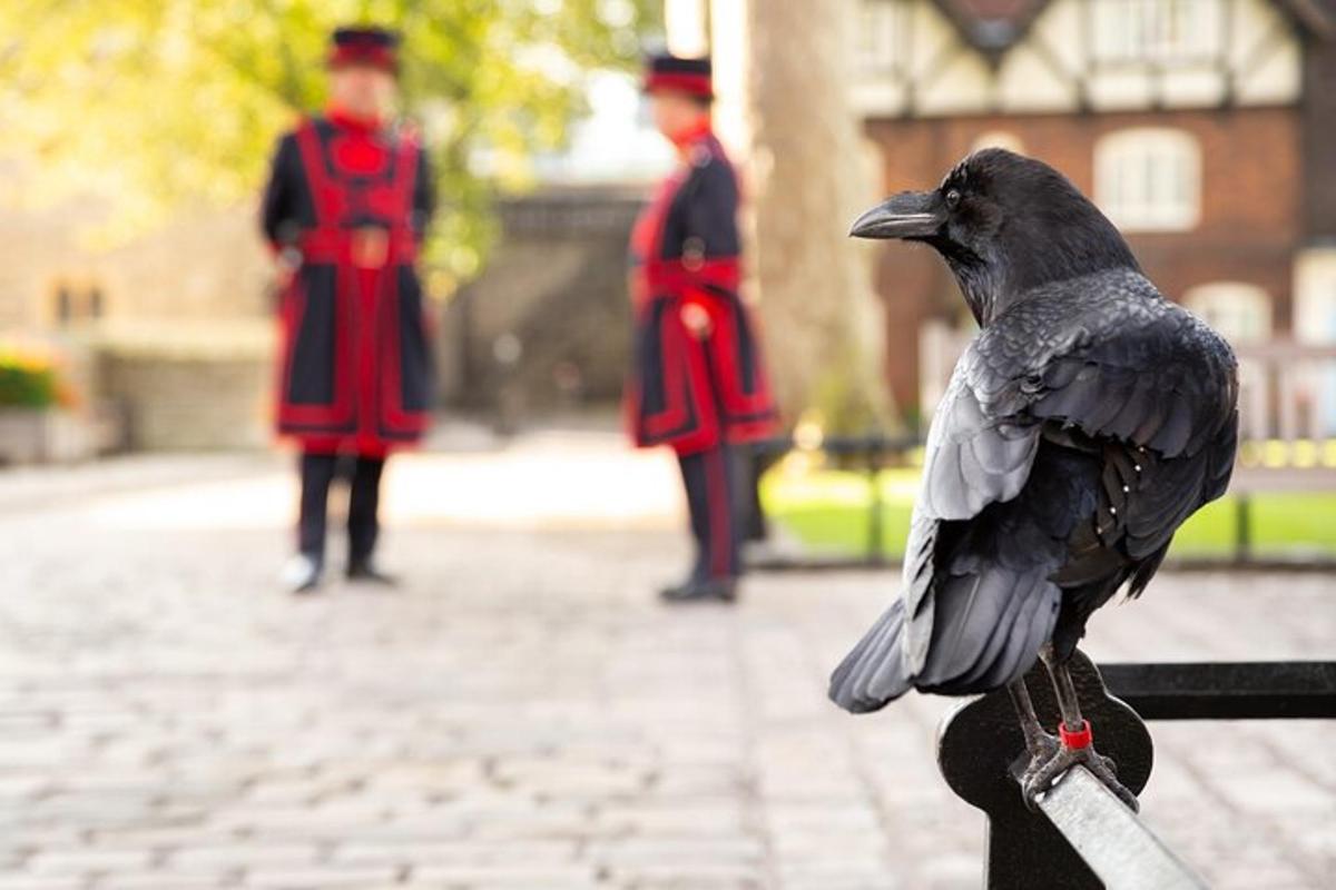 un uccello nero seduto su una ringhiera con due uomini in uniforme