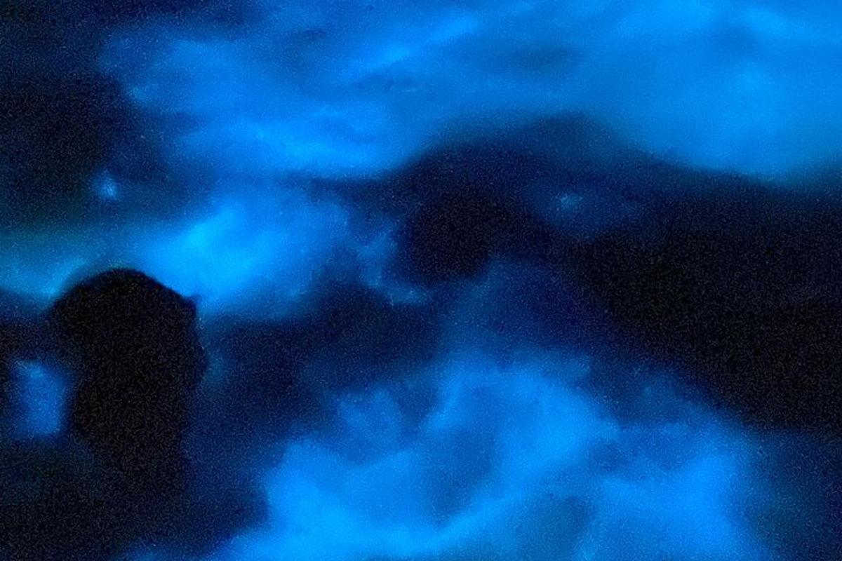 sekumpulan orang di dalam air pada waktu malam