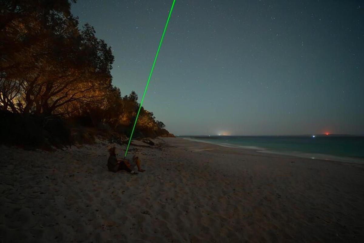 a couple of dogs laying on a beach at night