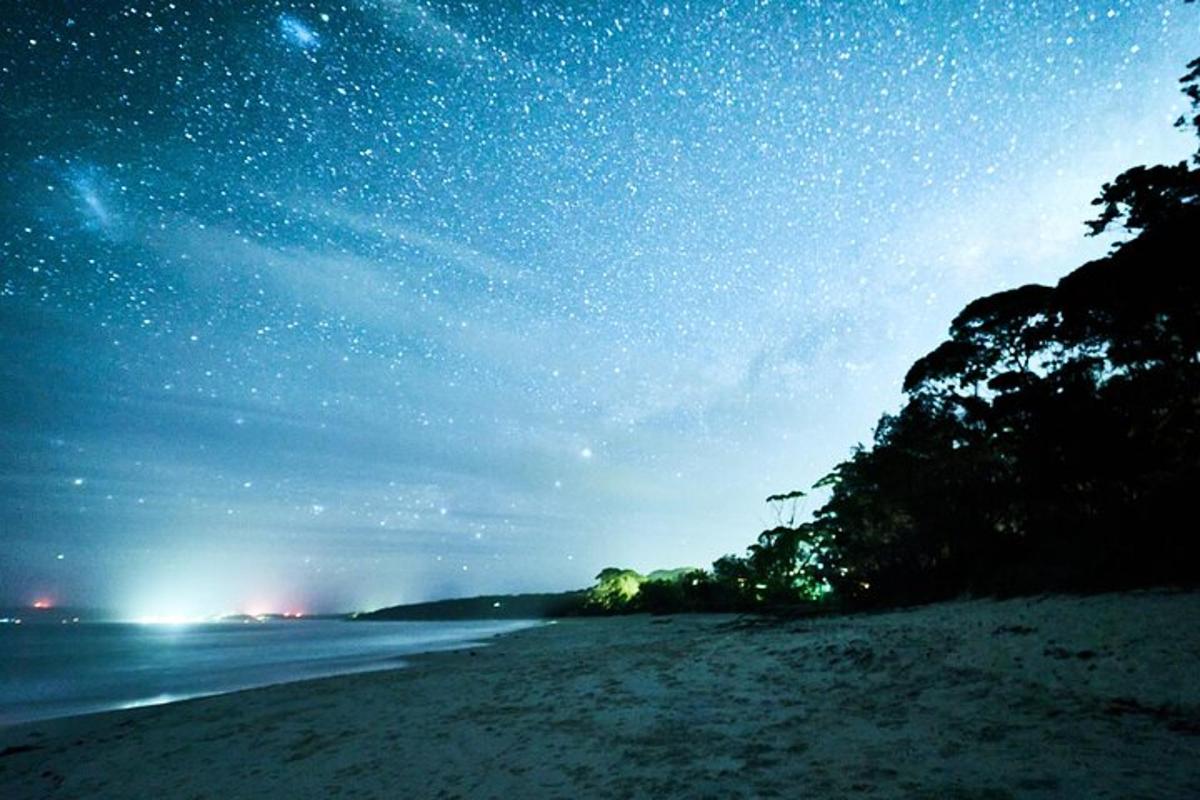a beach at night with a starry sky
