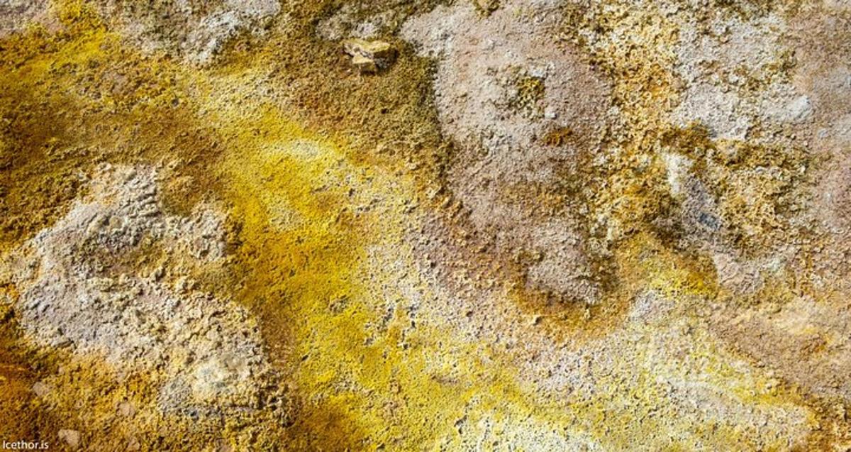 ένας βράχος με αποτυπώματα πατούσας σκύλου πάνω του