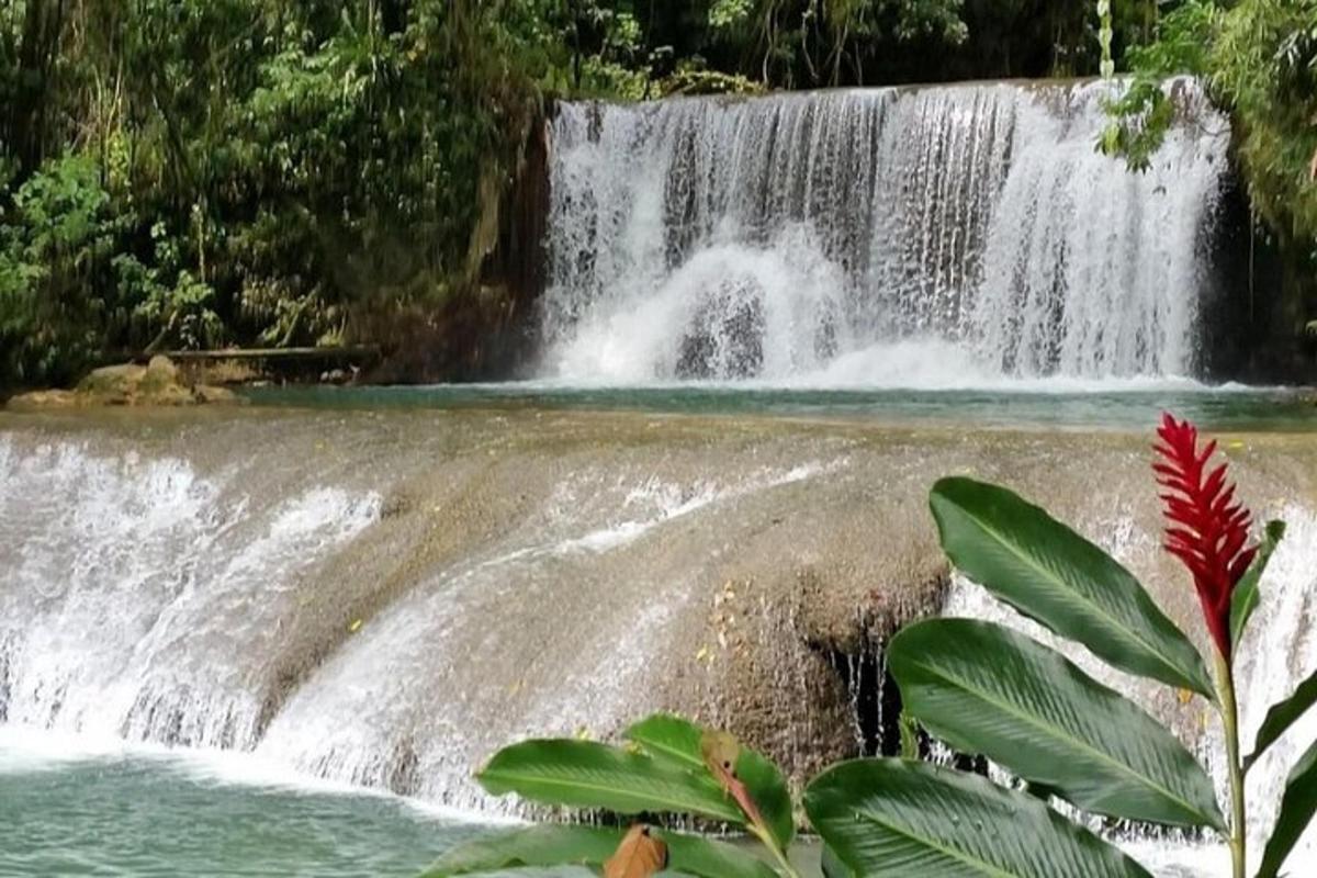 una cascada en un parc amb una flor vermella