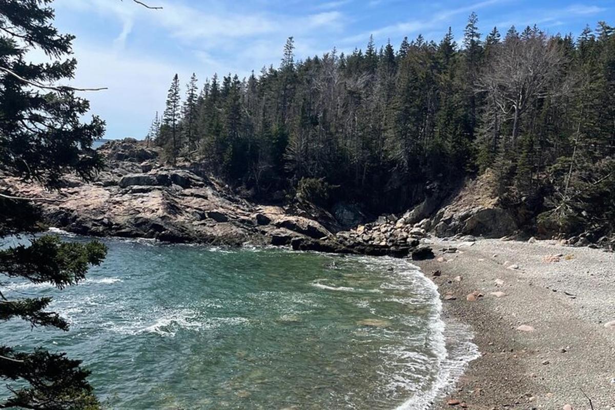 a beach with a body of water and trees