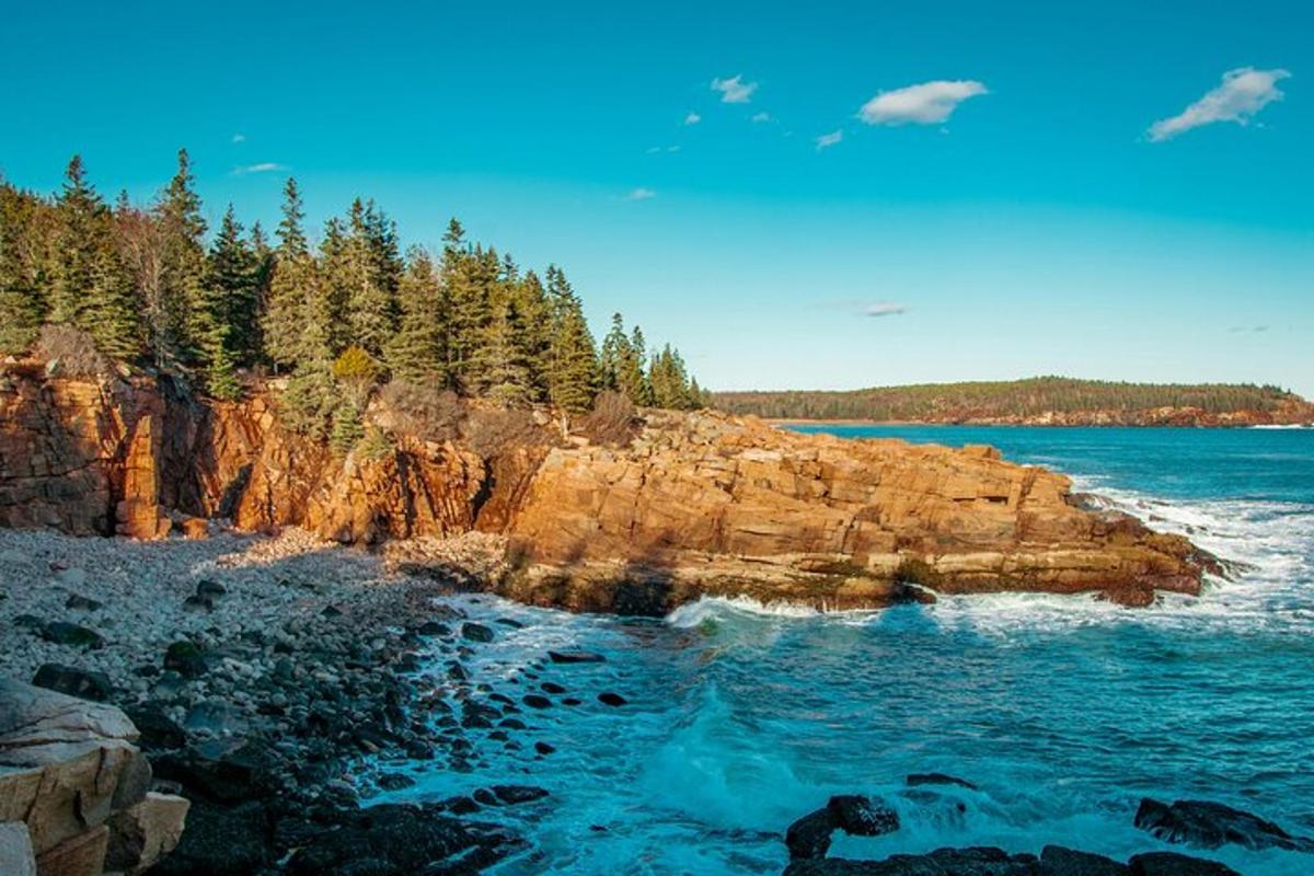 a view of a rocky shore with trees and the ocean