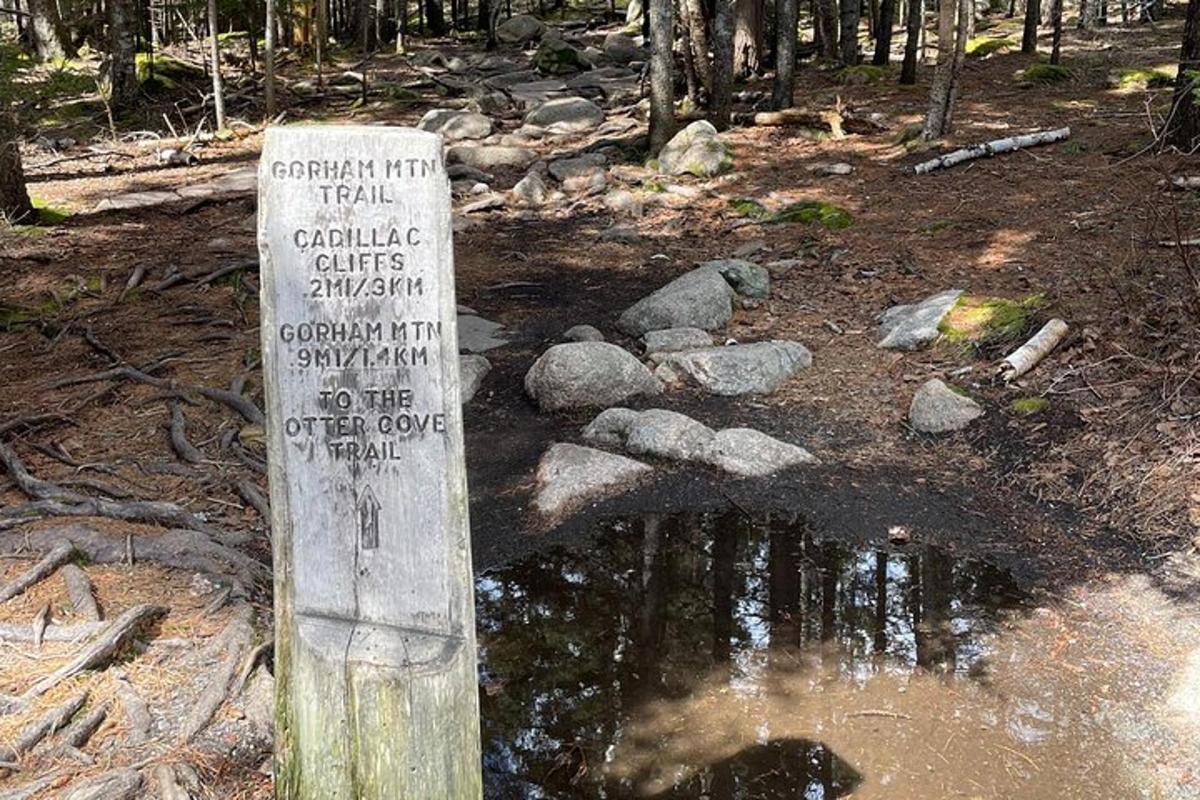 a wooden sign in the middle of a creek
