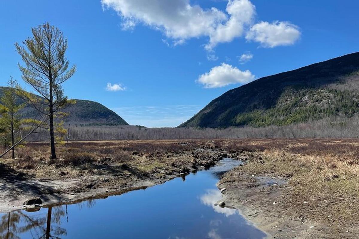 a body of water in a field with mountains