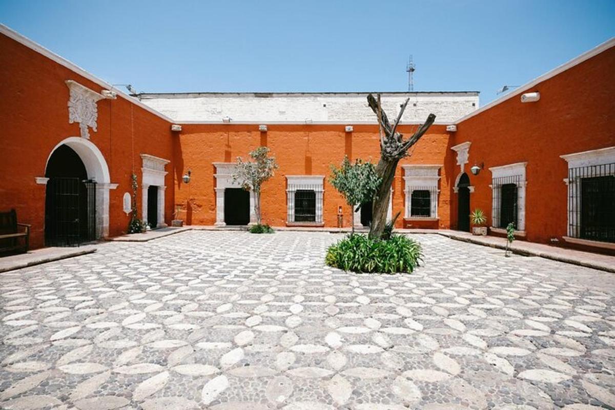 a courtyard with a tree in the middle of a building