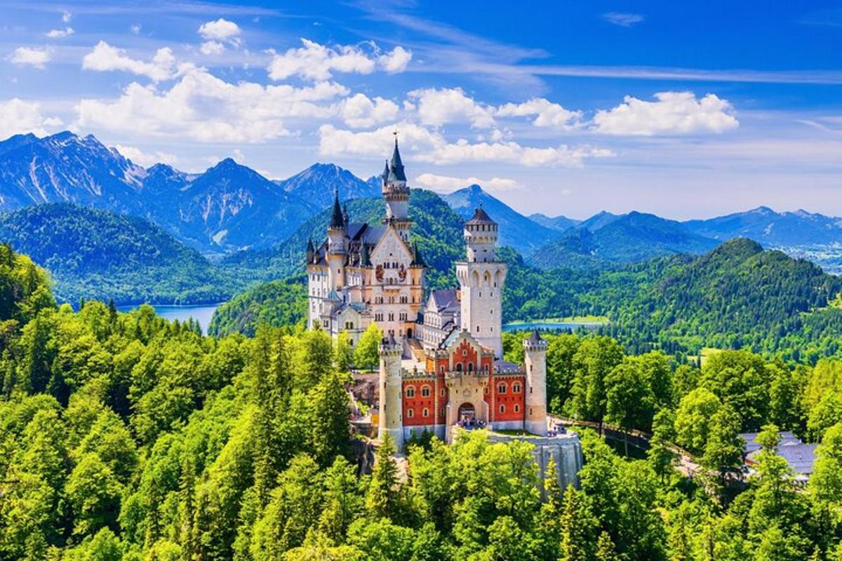 a castle on a hill in the middle of trees